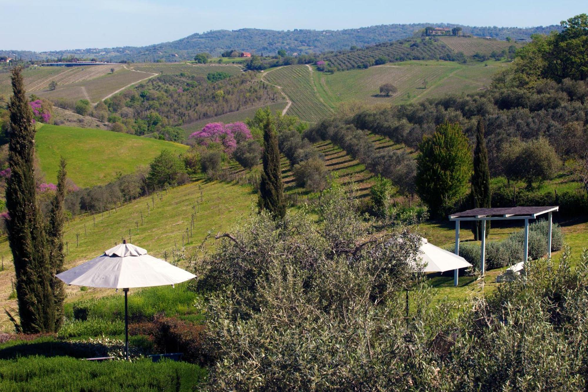 Casale Sterpeti * Magliano in Toscana