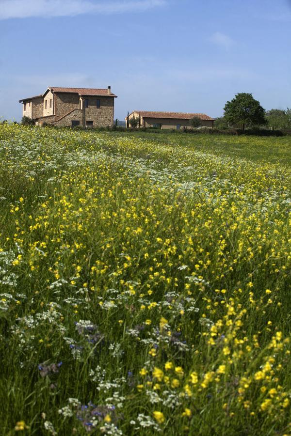 Bed & Breakfast Casale Sterpeti *
