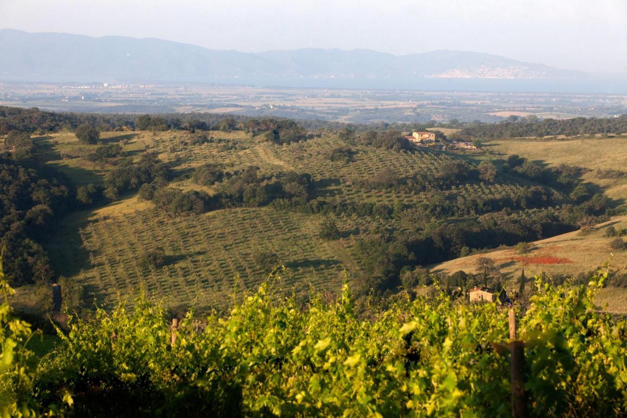 Casale Sterpeti Magliano in Toscana